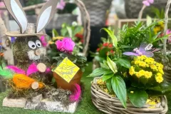 cash-flor-fleurs-et-plantes-65